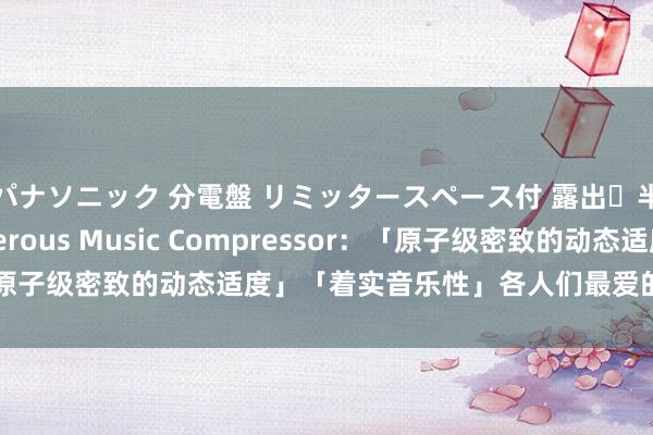 パナソニック 分電盤 リミッタースペース付 露出・半埋込両用形 Dangerous Music Compressor：「原子级密致的动态适度」「着实音乐性」各人们最爱的总线压缩器