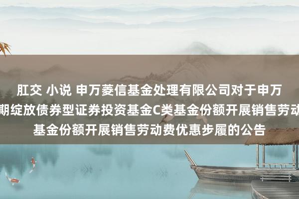 肛交 小说 申万菱信基金处理有限公司对于申万菱信恒利三个月如期绽放债券型证券投资基金C类基金份额开展销售劳动费优惠步履的公告