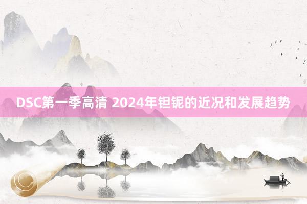 DSC第一季高清 2024年钽铌的近况和发展趋势