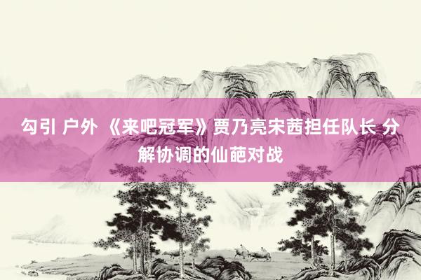 勾引 户外 《来吧冠军》贾乃亮宋茜担任队长 分解协调的仙葩对战