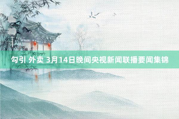勾引 外卖 3月14日晚间央视新闻联播要闻集锦