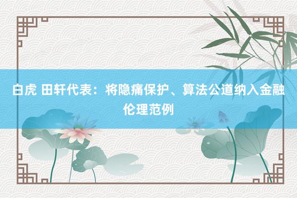 白虎 田轩代表：将隐痛保护、算法公道纳入金融伦理范例