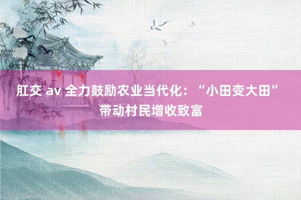 肛交 av 全力鼓励农业当代化：“小田变大田” 带动村民增收致富