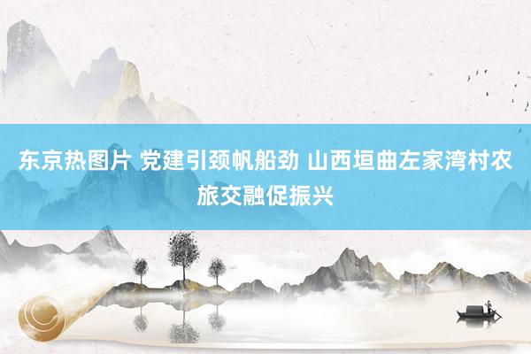 东京热图片 党建引颈帆船劲 山西垣曲左家湾村农旅交融促振兴
