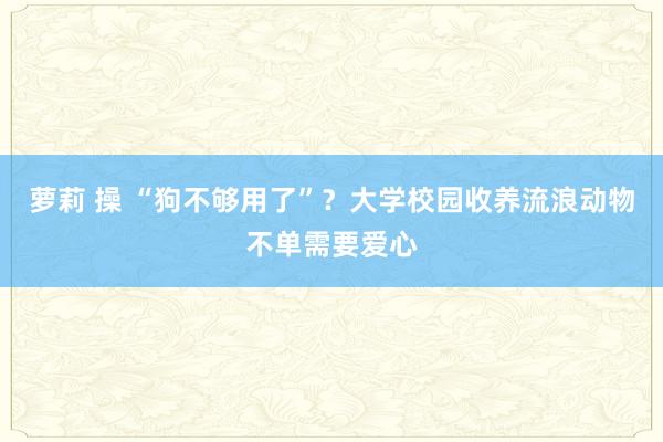 萝莉 操 “狗不够用了”？大学校园收养流浪动物不单需要爱心