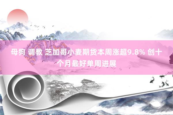 母狗 调教 芝加哥小麦期货本周涨超9.8% 创十个月最好单周进展