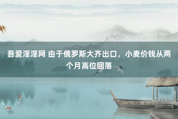 吾爱淫淫网 由于俄罗斯大齐出口，小麦价钱从两个月高位回落