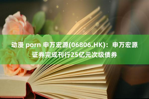 动漫 porn 申万宏源(06806.HK)：申万宏源证券完成刊行25亿元次级债券