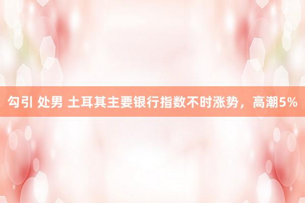 勾引 处男 土耳其主要银行指数不时涨势，高潮5%